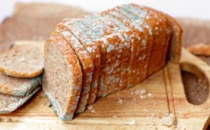 37L8QAnZK49gH1rqhCQ2.r695x430