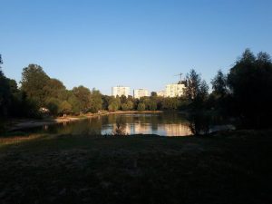 20663945 10210042130585646 151797692729392437 n