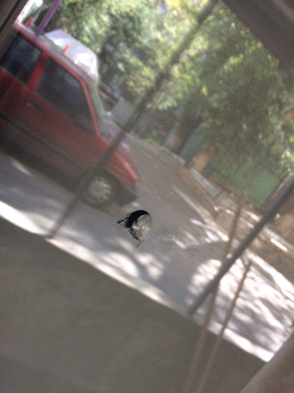 photo5472273920267758140