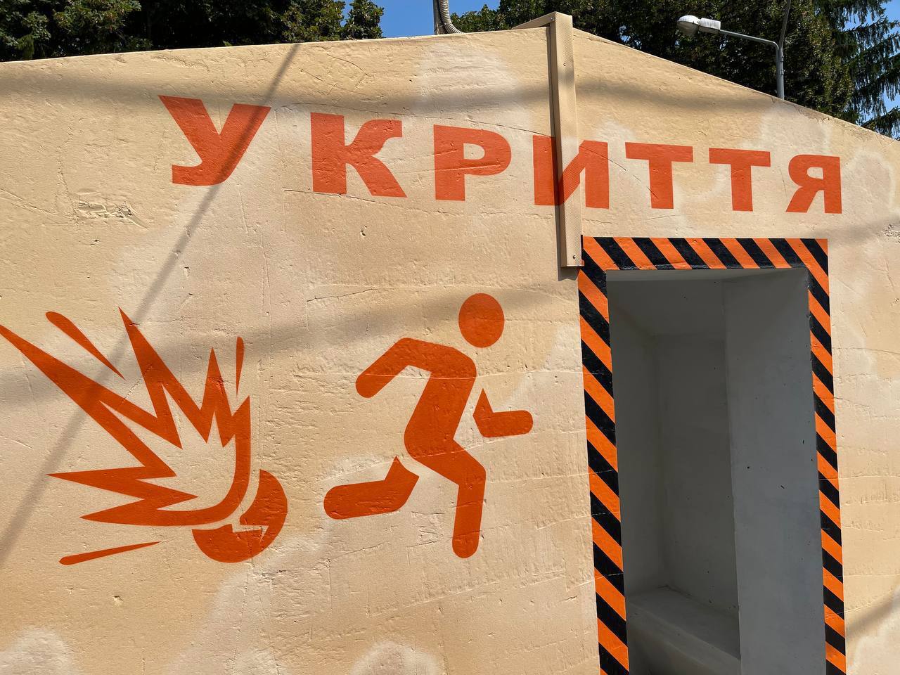 photo 5445398845312844993 y